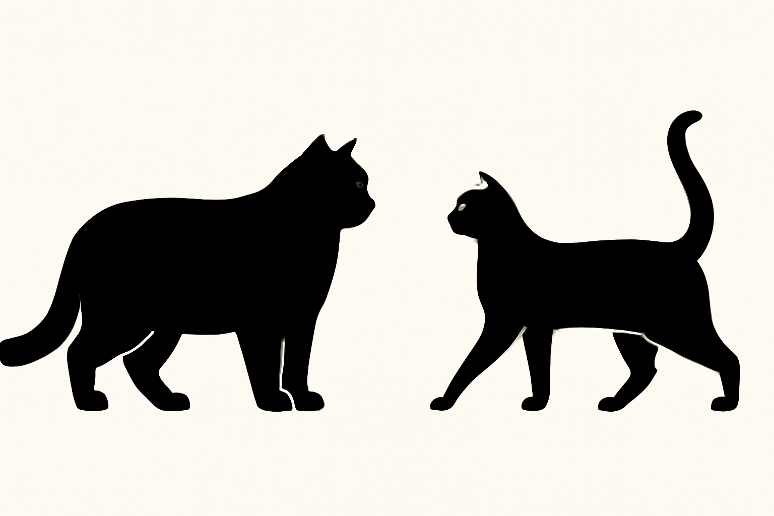 How to Tell Scottish and British Cats