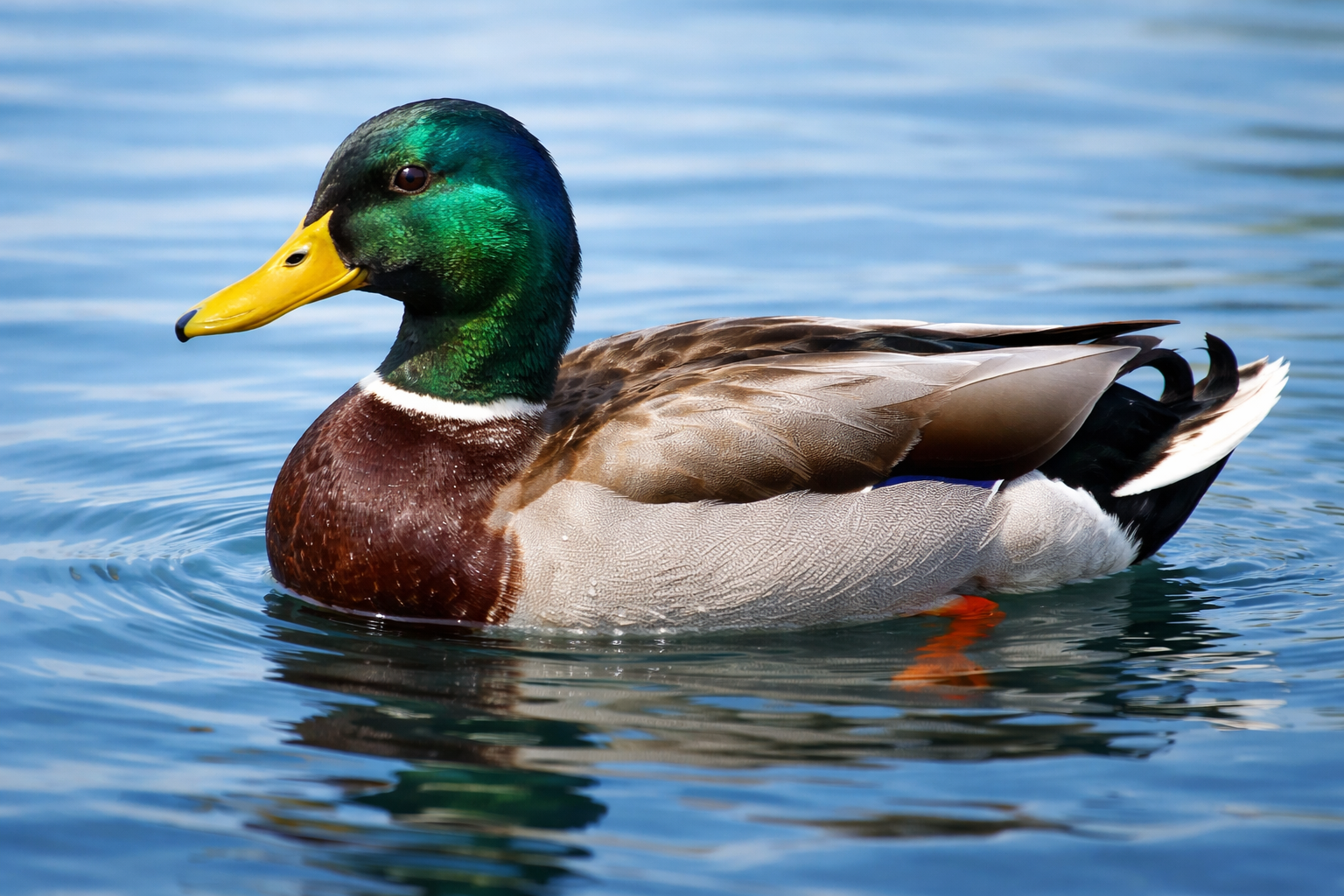 AI generated illustration