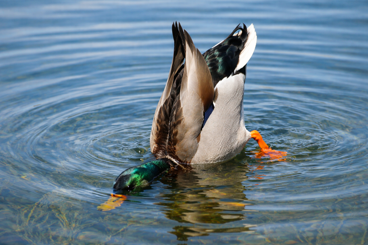 AI generated illustration