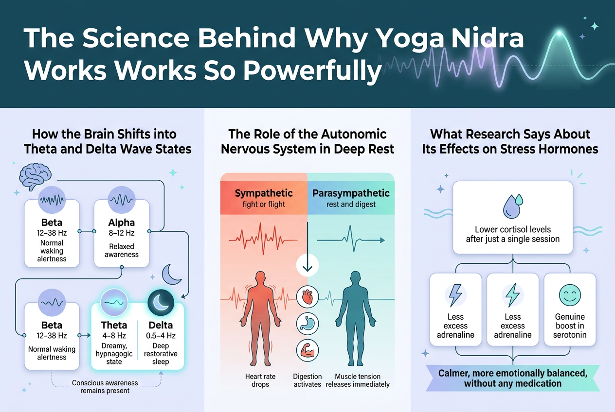 Create a clean, modern full-bleed infographic illustration in a 3:2 landscape aspect ratio with a wide horizontal layout, no poster frame, no inset margins. Use a calm wellness palette of deep teal, soft blue, lavender, white, and subtle aqua accents. Use bold sans-serif typography for the title and clean readable sans-serif body text. Organize the design into three wide horizontal sections with clear visual hierarchy, icons, and labeled blocks.
TOP SECTION:
Place a large bold headline across the top: "The Science Behind Why Yoga Nidra Works So Powerfully"
Add a subtle brainwave line graphic spanning behind the title, with glowing wave peaks shifting from beta to delta.
LEFT WIDE SECTION:
Title this block: "How the Brain Shifts into Theta and Delta Wave States"
Show a horizontal flow diagram of four connected rounded cards with wave icons and frequency labels:
1. "Beta" — "12–38 Hz" — "Normal waking alertness"
2. "Alpha" — "8–12 Hz" — "Relaxed awareness"
3. "Theta" — "4–8 Hz" — "Dreamy, hypnagogic state"
4. "Delta" — "0.5–4 Hz" — "Deep restorative sleep"
Use a brain icon at the start and a crescent moon icon near Theta and Delta. Highlight Theta and Delta with brighter glow. Add a small caption beneath the flow: "Conscious awareness remains present"
CENTER WIDE SECTION:
Title this block: "The Role of the Autonomic Nervous System in Deep Rest"
Use a split-panel visual with two side-by-side states:
Left panel: red/orange sympathetic side with a tense body silhouette, fast heartbeat line, and text: "Sympathetic" and "fight or flight"
Right panel: blue/green parasympathetic side with a relaxed body silhouette, slow heartbeat line, and text: "Parasympathetic" and "rest and digest"
Between them place a downward arrow and small icons for heart, stomach, and muscles. Add short labels underneath the right side: "Heart rate drops" "Digestion activates" "Muscle tension releases immediately"
RIGHT WIDE SECTION:
Title this block: "What Research Says About Its Effects on Stress Hormones"
Use three clean statistic-style cards stacked horizontally or in a row with icons:
Card 1 with a cortisol drop icon and text: "Lower cortisol levels after just a single session"
Card 2 with an adrenaline bolt icon and text: "Less excess adrenaline"
Card 3 with a serotonin smile icon and text: "Genuine boost in serotonin"
Add a concluding line in a highlighted ribbon: "Calmer, more emotionally balanced, without any medication"
VISUAL STYLE:
Use thin connecting lines, rounded rectangles, soft gradients, and minimal medical/wellness illustration style. Include small decorative sparkles and gentle wave motifs. Keep text legible, balanced, and evenly spaced across the wide canvas. Ensure all content is aligned in a clean, professional infographic layout with strong contrast and clear section separation.