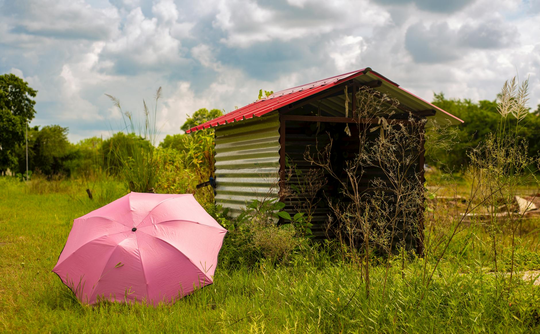 https://www.pexels.com/photo/pink-umbrella-beside-rustic-shed-in-lush-field-34368997/