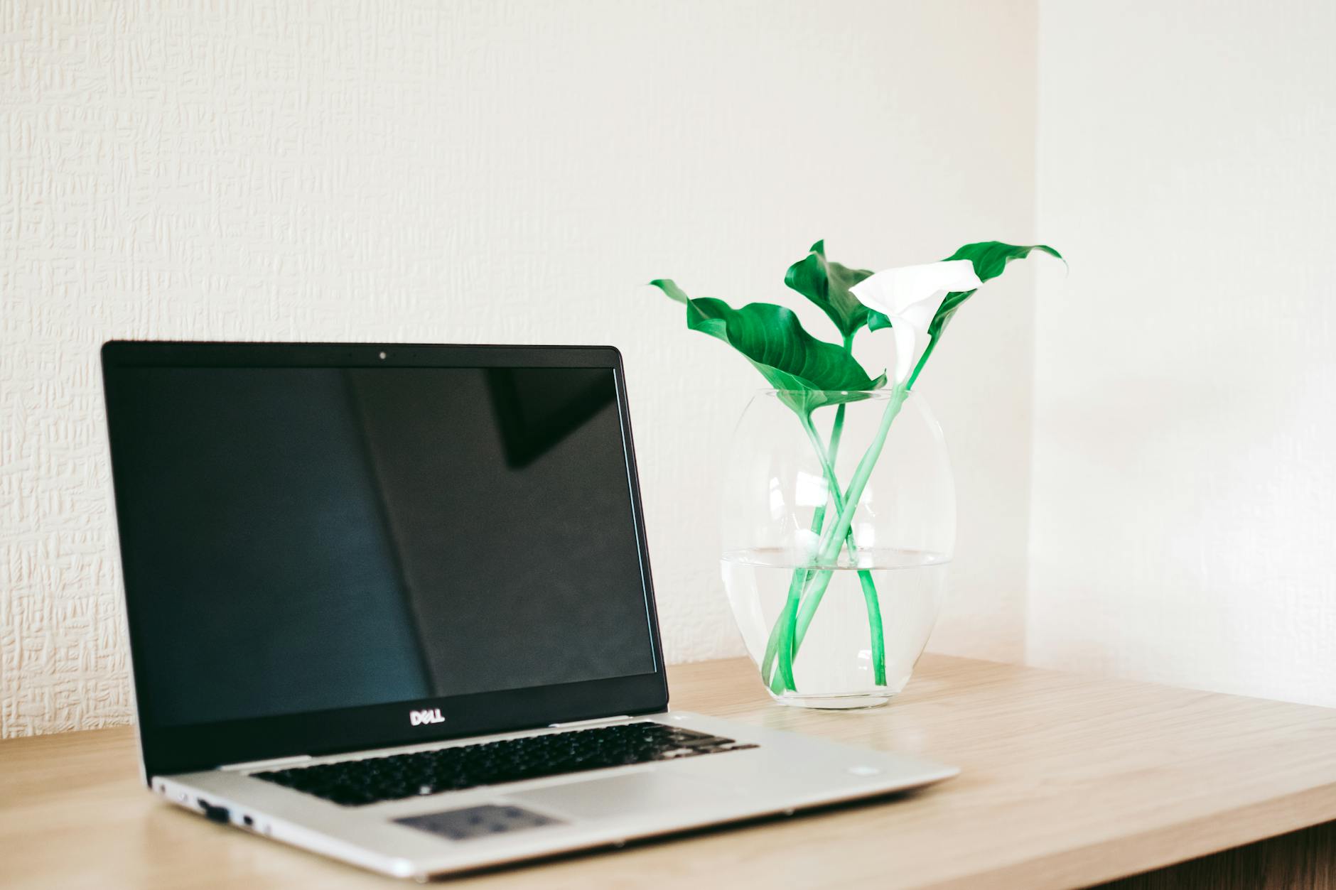 https://www.pexels.com/photo/silver-and-black-dell-laptop-beside-white-calla-lily-in-clear-glass-vase-on-brown-wooden-desk-1266982/