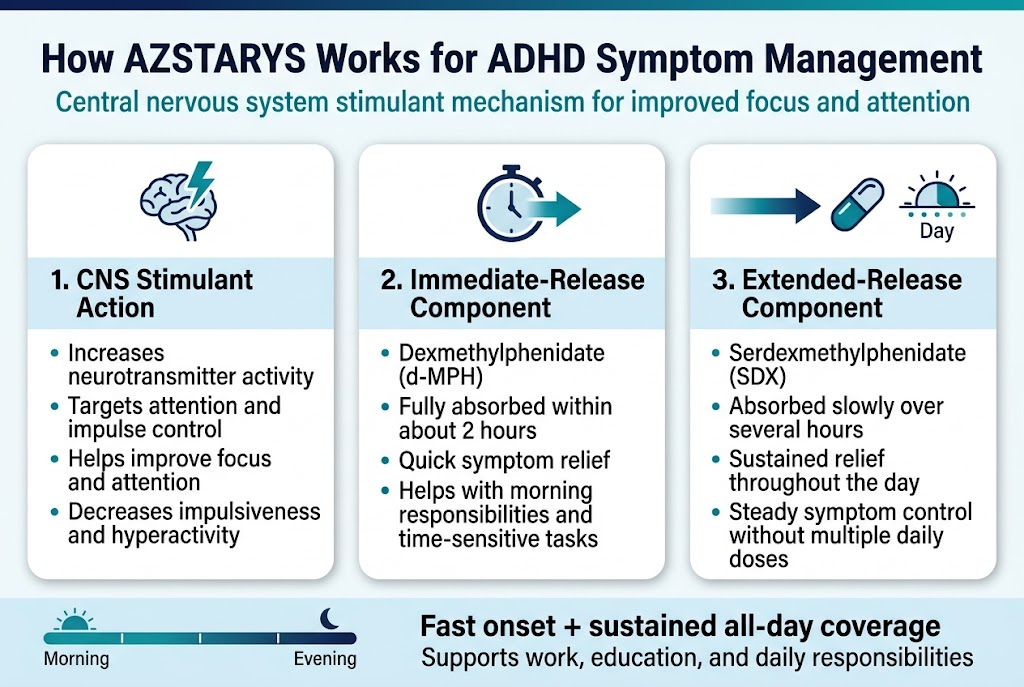 Create a clean, professional medical infographic in a full-bleed 3:2 landscape layout with a modern blue, teal, and white color palette, subtle gray accents, and crisp sans-serif typography. Top header across the full width: Large bold title in dark navy: "How AZSTARYS Works for ADHD Symptom Management" Smaller subtitle beneath in teal: "Central nervous system stimulant mechanism for improved focus and attention" Main content in three wide horizontal sections or three side-by-side panels with clear numbered labels and icons: 1. Left panel with a brain and lightning icon: Heading: "1. CNS Stimulant Action" Short bullets: • "Increases neurotransmitter activity" • "Targets attention and impulse control" • "Helps improve focus and attention" • "Decreases impulsiveness and hyperactivity" 2. Center panel with a clock icon and fast-release arrow: Heading: "2. Immediate-Release Component" Short bullets: • "Dexmethylphenidate (d-MPH)" • "Fully absorbed within about 2 hours" • "Quick symptom relief" • "Helps with morning responsibilities and time-sensitive tasks" 3. Right panel with a long arrow, slow-release capsule, and day timeline icon: Heading: "3. Extended-Release Component" Short bullets: • "Serdexmethylphenidate (SDX)" • "Absorbed slowly over several hours" • "Sustained relief throughout the day" • "Steady symptom control without multiple daily doses" Bottom horizontal summary band with a timeline graphic from morning to evening: Text in bold: "Fast onset + sustained all-day coverage" Smaller text: "Supports work, education, and daily responsibilities" Design details: Use clear iconography beside each section heading, rounded cards with subtle shadows, strong visual hierarchy, ample spacing, and easy-to-read text. Avoid crowded layout. Use dark navy headings, teal highlights, and light blue section backgrounds. Ensure all text is sharp, legible, and exactly as written.