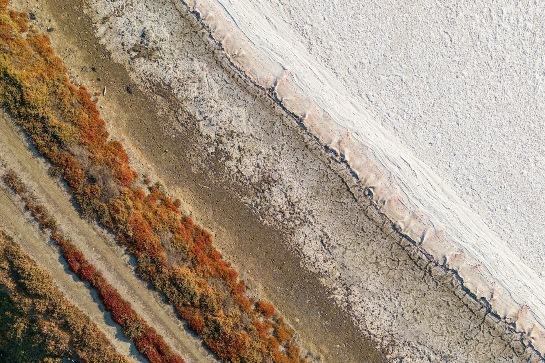 https://www.pexels.com/photo/moss-on-rough-ground-13641596/