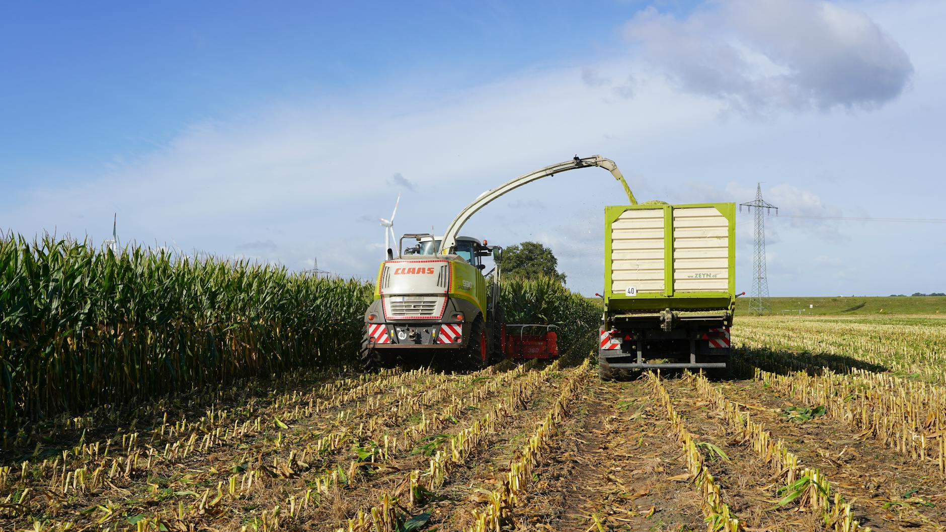 https://www.pexels.com/photo/corn-harvesting-in-hohnstorf-germany-34049304/