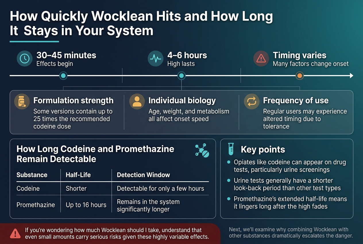 Create a clean, professional medical-style infographic in a 3:2 aspect ratio, full-bleed layout, with a dark navy-to-teal gradient background, white and light gray text, and teal, amber, and red accent colors. Use modern sans-serif fonts with a bold title at the top left and strong visual hierarchy. Organize the content into wide horizontal sections and two-column blocks, not a narrow centered stack.Top header across the full width:
Large bold title in white: "How Quickly Wocklean Hits and How Long It Stays in Your System"
Add a thin teal underline beneath the title.Main left-to-right timeline section across the upper middle:
A horizontal timeline with 3 marked points and small circular icons above each point.
Point 1 at left with a clock icon and text:
"30–45 minutes"
"Effects begin"
Point 2 in center with a wave/pulse icon and text:
"4–6 hours"
"High lasts"
Point 3 at right with a warning triangle icon and text:
"Timing varies"
"Many factors change onset"Below the timeline, a wide three-column factors block with labeled cards:
Card 1 with a pill bottle icon and heading in bold:
"Formulation strength"
Body text: "Some versions contain up to 25 times the recommended codeine dose"
Card 2 with a person silhouette icon and heading in bold:
"Individual biology"
Body text: "Age, weight, and metabolism all affect onset speed"
Card 3 with a repeat/loop icon and heading in bold:
"Frequency of use"
Body text: "Regular users may experience altered timing due to tolerance"Lower middle section split into two large side-by-side panels:
Left panel titled in bold:
"How Long Codeine and Promethazine Remain Detectable"
Include a simple comparison table with two rows and three columns, using clean dividers.
Table headers:
"Substance" | "Half-Life" | "Detection Window"
Row 1:
"Codeine" | "Shorter" | "Detectable for only a few hours"
Row 2:
"Promethazine" | "Up to 16 hours" | "Remains in the system significantly longer"
Add a small molecule/medicine icon beside the panel title.Right panel with a test tube icon and bold heading:
"Key points"
Use three bullet points with teal bullet dots:
"Opiates like codeine can appear on drug tests, particularly urine screenings"
"Urine tests generally have a shorter look-back period than other test types"
"Promethazine's extended half-life means it lingers long after the high fades"Bottom strip across the width as a caution banner in dark red with white text and a warning icon:
"If you're wondering how much Wocklean should I take, understand that even small amounts carry serious risks given these highly variable effects."
At the very bottom right, add a smaller concluding line in light gray:
"Next, we'll examine why combining Wocklean with other substances dramatically escalates the danger."Use clear spacing, subtle grid lines, and small medical/science icons. Keep all text sharp, legible, and exactly as written. No people, no photos, no 3D scene, only infographic graphics and text.