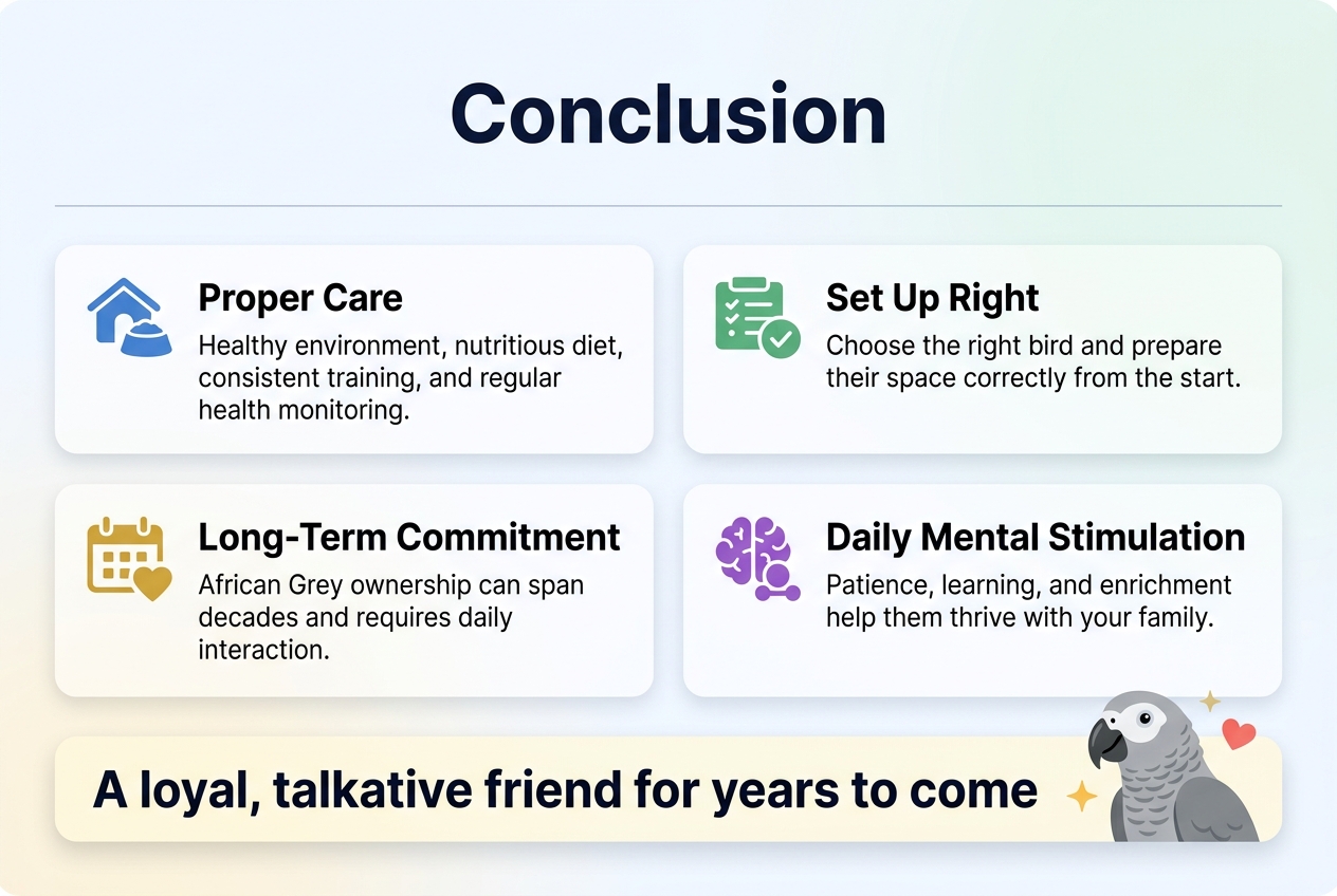 conclusion