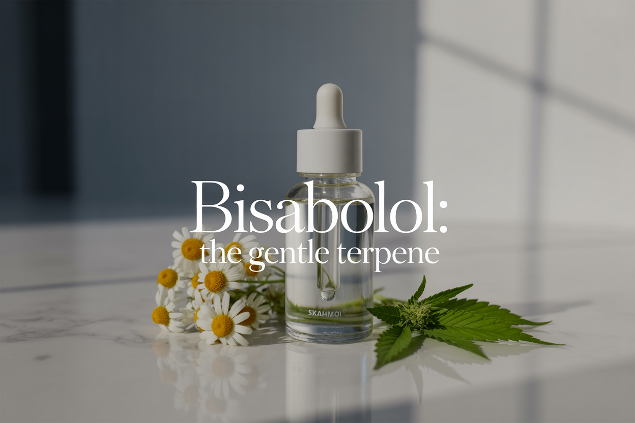 Create a realistic image of a sleek, modern skincare bottle with a dropper cap containing clear liquid, positioned next to fresh chamomile flowers and green cannabis leaves on a clean white marble surface, with soft natural lighting from the side creating gentle shadows, include the text "BISABOLOL: The Gentle Terpene" in elegant, minimalist typography overlaid on the image, maintaining a serene and professional wellness aesthetic with a subtle blurred background.